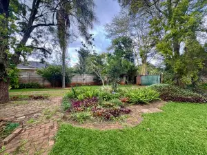 4 Bedroom House to Rent in Alexandra Park