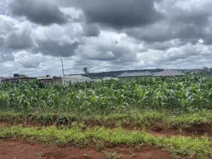 Residential Stand for Sale