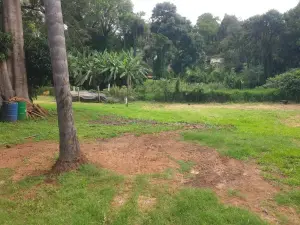 4 Bedroom House to Rent in Greystone Park