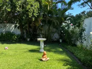 Flat/Apartment to Rent in Avondale