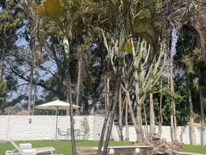 Other Commercial to Rent in Eastlea