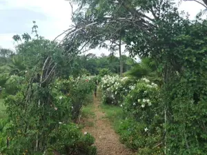 Commercial Stand to Rent