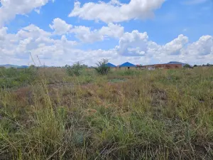 Residential Stand for Sale