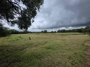 Residential Stand for Sale