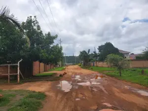 Residential Stand for Sale