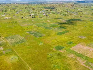 Residential Stand for Sale