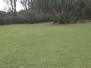 House to Rent in Helensvale