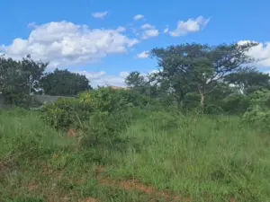 Residential Stand for Sale