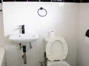 Flat/Apartment to Rent in Avenues