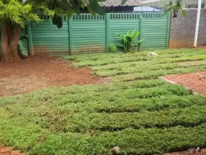 Townhouse/Cluster to Rent in Borrowdale