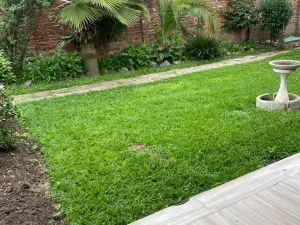 Flat/Apartment to Rent in Avondale