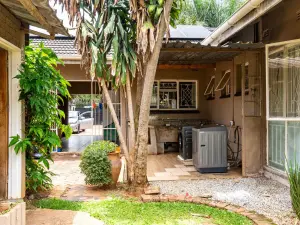 House to Rent in Alexandra Park