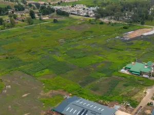 Commercial Stand for Sale