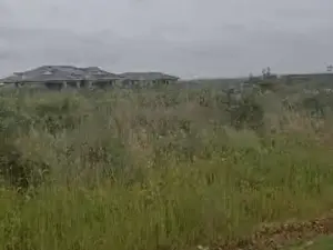 Commercial Stand for Sale