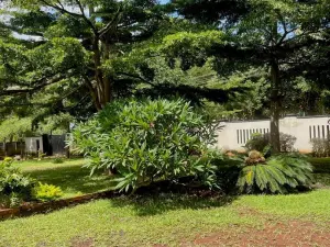 Office to Rent in Borrowdale