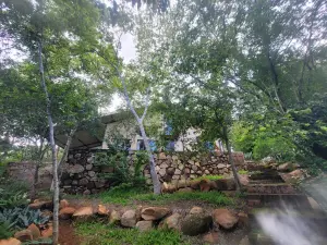 Cottage/Garden Flat to Rent