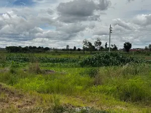 Industrial Stand for Sale