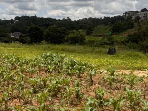 Residential Stand for Sale