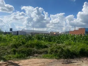 Commercial Stand for Sale