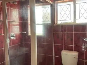 Flat/Apartment to Rent in Avondale