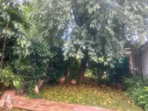 Flat/Apartment to Rent in Avondale