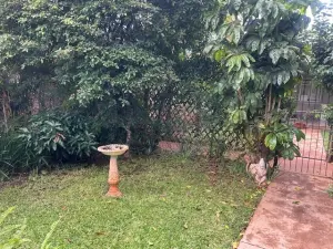 Flat/Apartment to Rent in Avondale