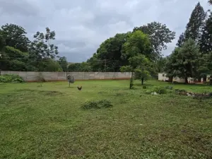 Residential Stand for Sale