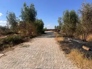 Residential Stand for Sale