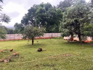 Residential Stand for Sale