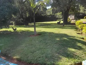 7 Bedroom House to Rent in The Grange