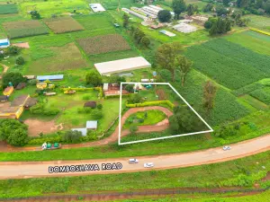 Commercial Stand for Sale