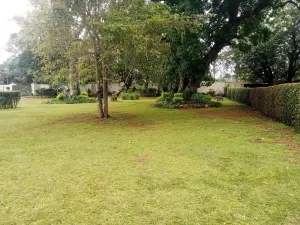 4 Bedroom House to Rent in Greendale