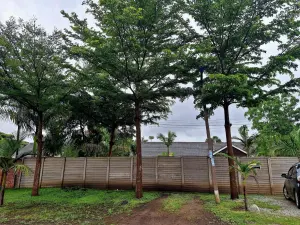 Office to Rent in Eastlea