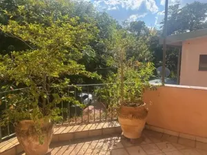 4 Bedroom House to Rent in Alexandra Park