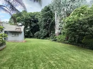 4 Bedroom House to Rent in Vainona