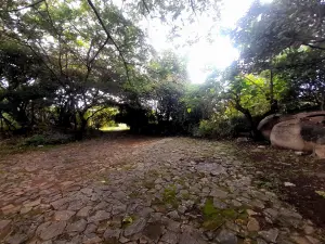 Other Commercial to Rent in Manresa