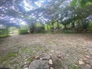 Other Commercial to Rent in Manresa