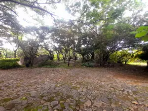 Other Commercial to Rent in Manresa