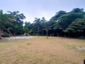 Other Commercial to Rent in Manresa