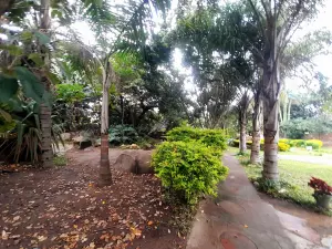 Other Commercial to Rent in Manresa