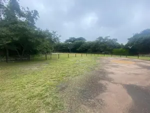 Other Commercial to Rent in Manresa