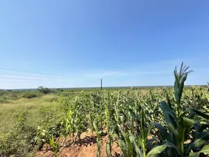 Farm/Plot for Sale