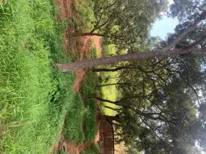 Residential Stand for Sale