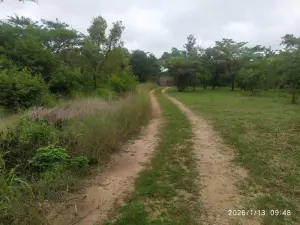 Residential Stand for Sale