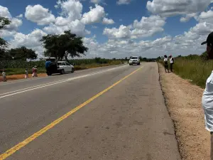 Commercial Stand for Sale