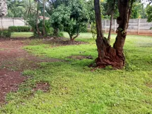 4 Bedroom House to Rent in Greendale