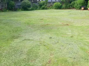 4 Bedroom House to Rent in Greendale