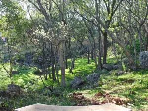 Townhouse/Cluster to Rent in Rolf Valley