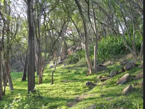 Townhouse/Cluster to Rent in Rolf Valley