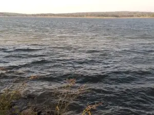 Commercial Stand for Sale